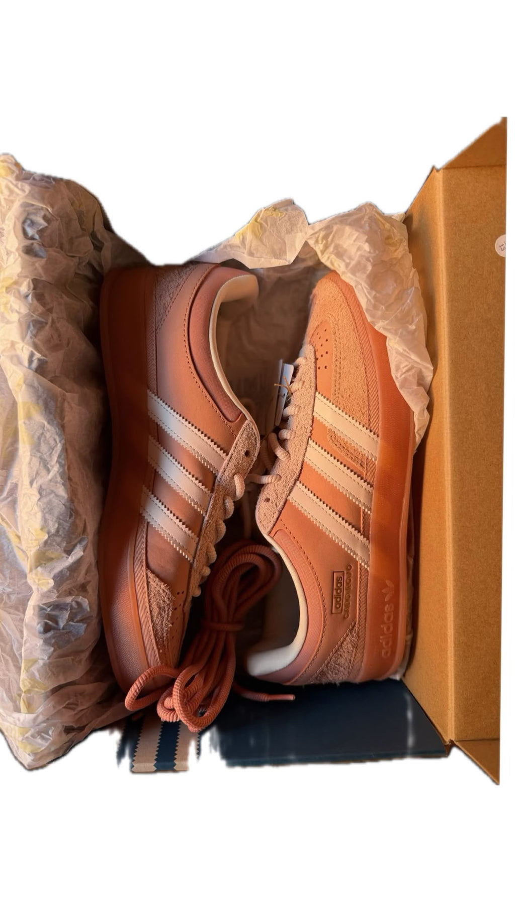 Adidas gazelle Bad Bunny "cabo rojo"